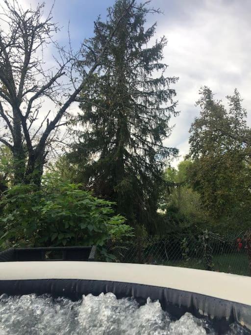 Charmant Gite En Perigord Vert Douchapt Екстериор снимка
